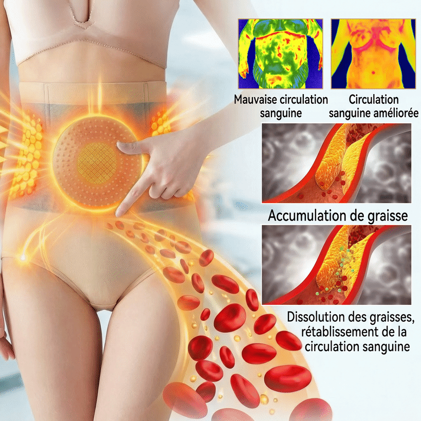 𝐏𝐀𝐔𝐑𝐀𝐉𝐔® 2026 Short Sculptant & Brûle-Graisses 4-en-1 aux Micro-Particules de Moringa & Berbérine