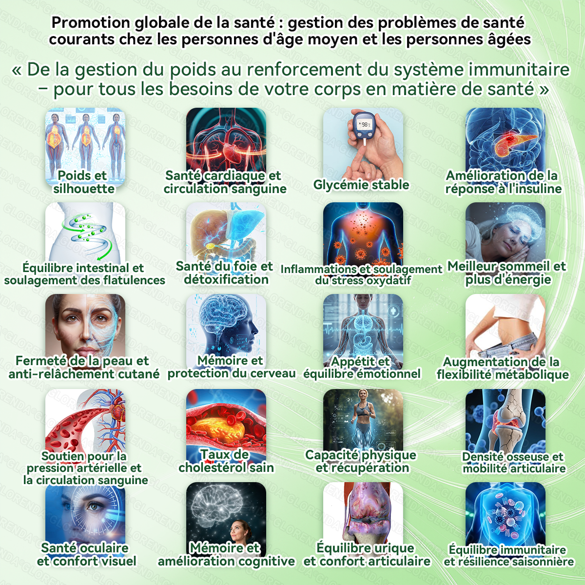 GLORENDA® | Moringa, Berbérine & NAD+ | Patch transdermique 10-en-1 à micro-aiguilles | Soutien du métabolisme