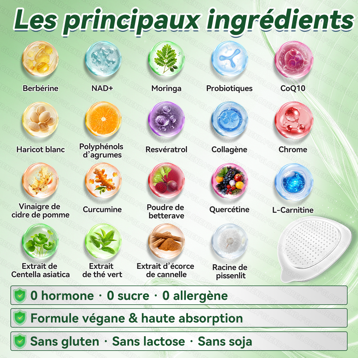 GLORENDA® | Moringa, Berbérine & NAD+ | Patch transdermique 10-en-1 à micro-aiguilles | Soutien du métabolisme