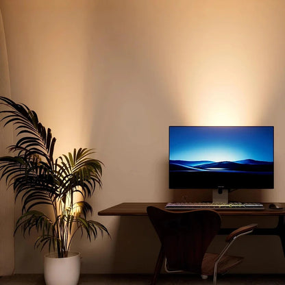 Spot Applique Murale LED | Tête Orientable pour Éclairage d'Accentuation sur Étagères et Murs d'Affichage | Spots Muraux 4