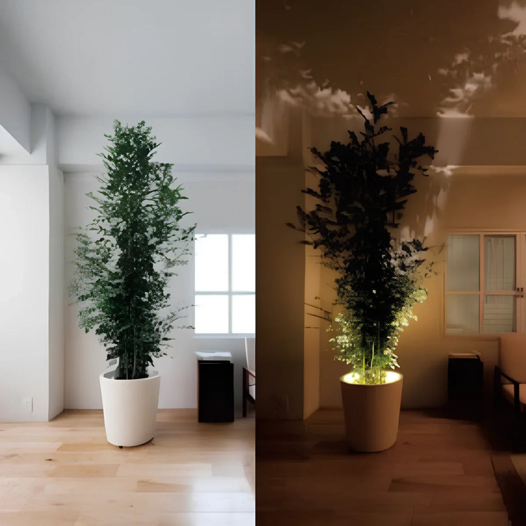 Spot Applique Murale LED | Tête Orientable pour Éclairage d'Accentuation sur Étagères et Murs d'Affichage | Spots Muraux 6