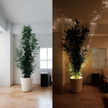 Spot Applique Murale LED | Tête Orientable pour Éclairage d'Accentuation sur Étagères et Murs d'Affichage | Spots Muraux 6
