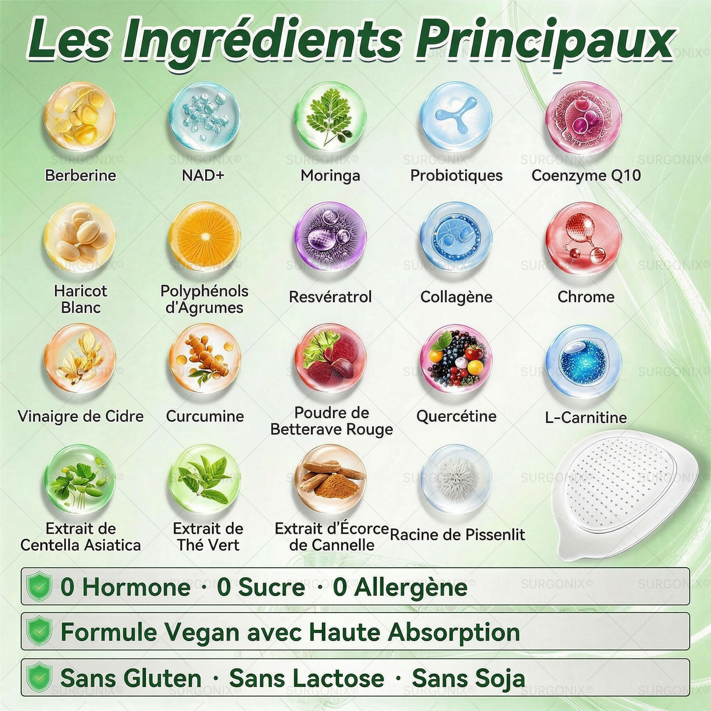 GLORENDA® | Moringa, Berbérine & NAD+ | Patch transdermique 10-en-1 à micro-aiguilles | Soutien du métabolisme